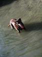 DSCN6558.jpg 