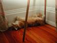 DSCN6618.jpg 