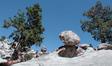 DSCN0895.jpg 