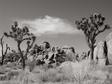 DSCN0956.jpg 