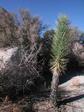 DSCN1020.jpg 