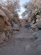 DSCN1041.jpg 