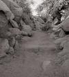 DSCN1041b_w.jpg 