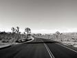 DSCN1079.jpg 
