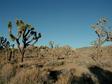 DSCN1080.jpg 