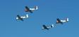 planes1.jpg 
